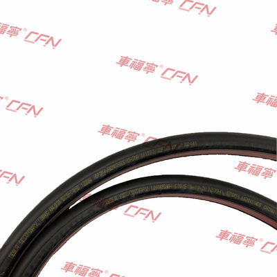 Guarnizione Porta Posteriore Secondaria Lato Destro PER TESLA MODEL 3 2017-2023 1090508-00-D Gomma Antifuga