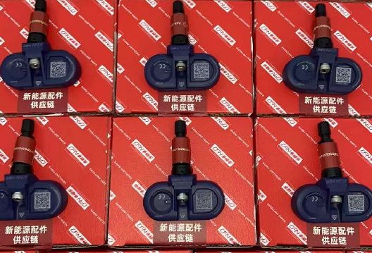 Sensore TPMS della serie Bluetooth per Tesla Modello 3/Y/S 2021 1490701-01-B Componenti di marca Nero