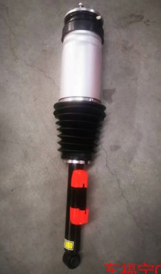 Modulo molla pneumatica adattiva posteriore sinistra per Tesla Model X - Alluminio