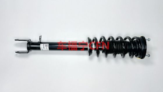 Corpo idraulico assorbitore di urti per Tesla Front L/R 2WD Bolt-On