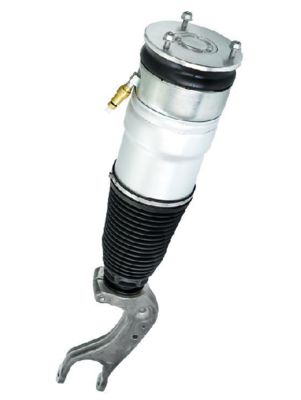 Modulo di molla di aria posteriore Tesla Model S per doppio motore 2012-2021